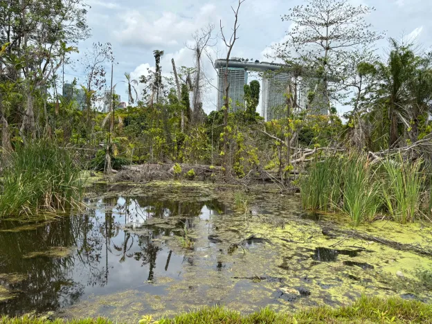 Figure 6: Accessible from MRT Gardens by the Bay Exit 3