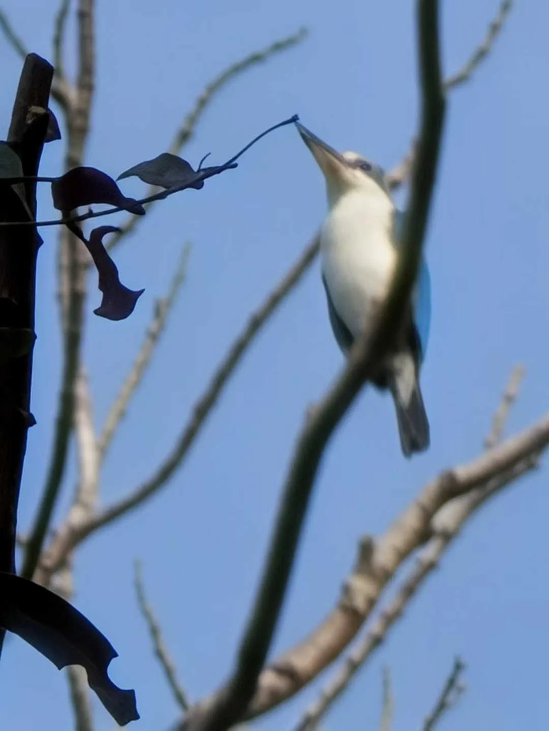 Figure 2: 虽然补全得像油画(Pixel)