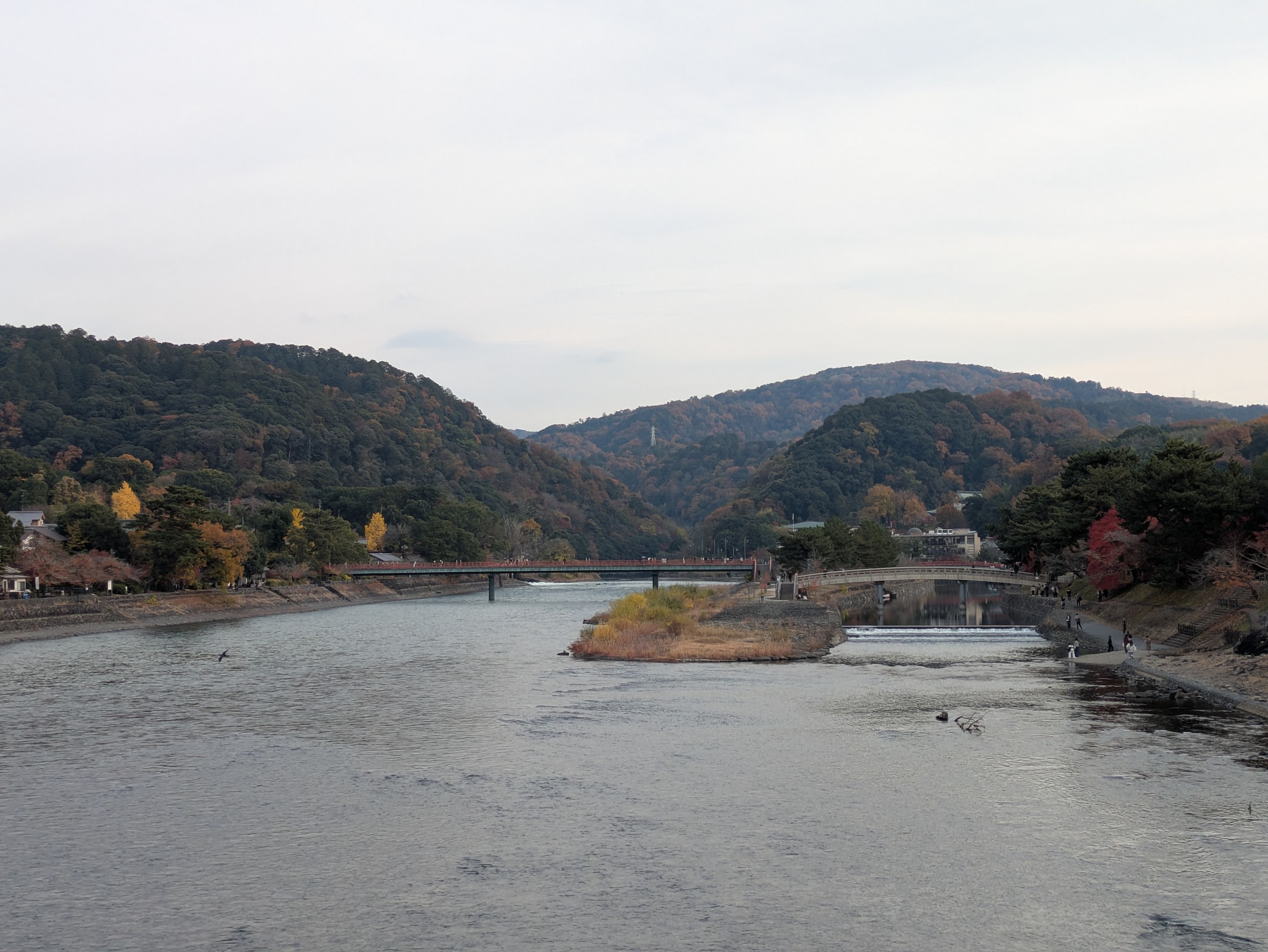 Figure 40: 好想成为鸬鹚啊！