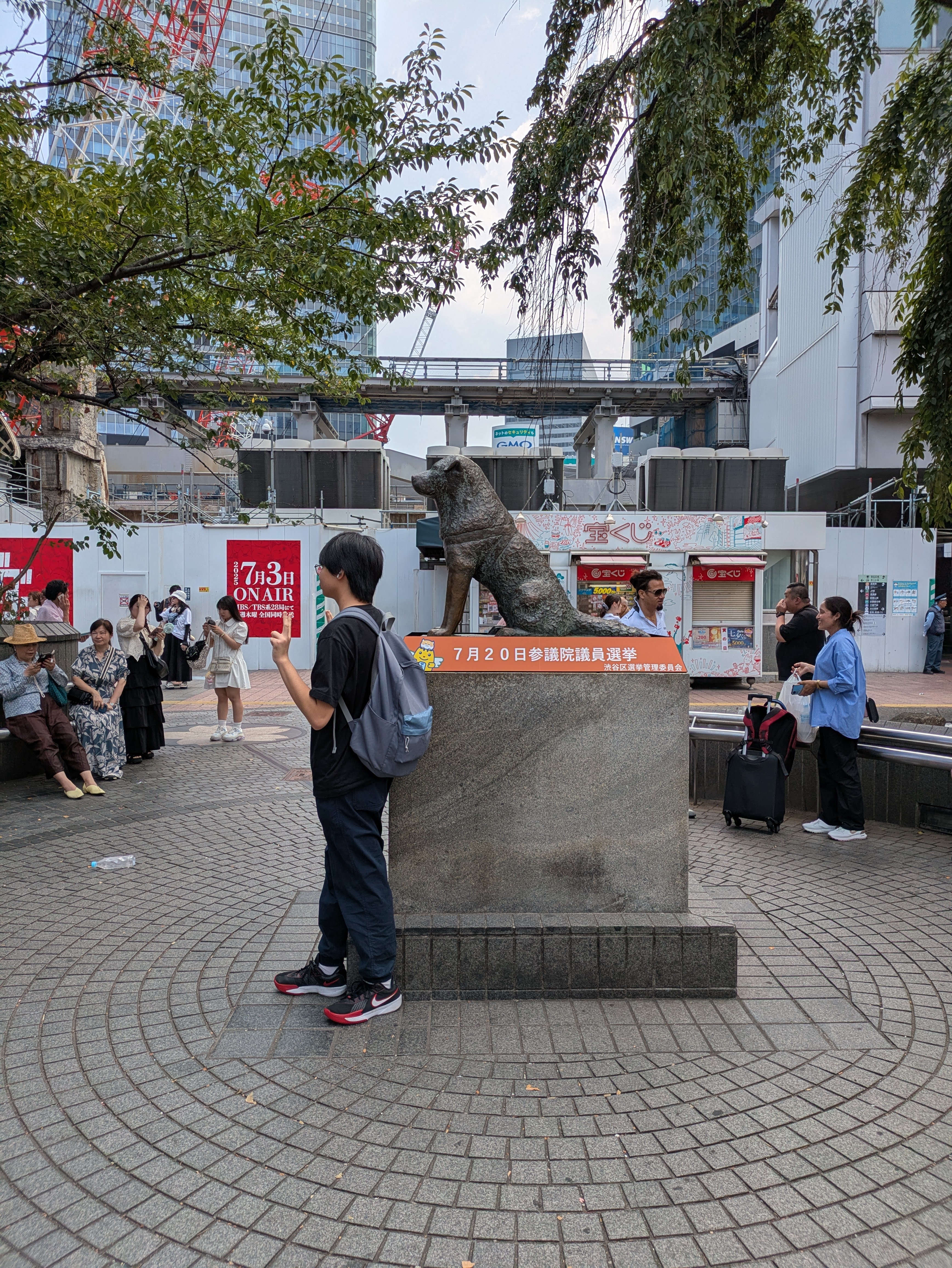 Figure 33: 这选举宣传搞得像是选八公去当参议员的样子