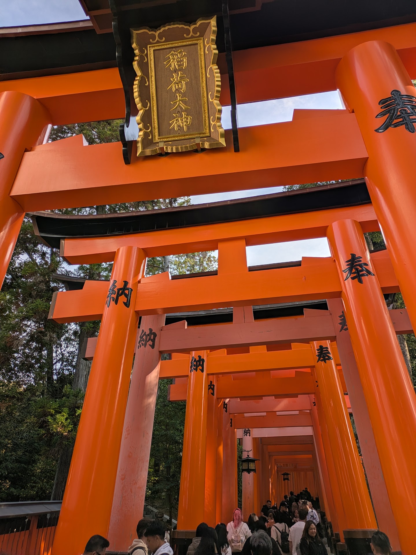 Figure 48: 鸟居们