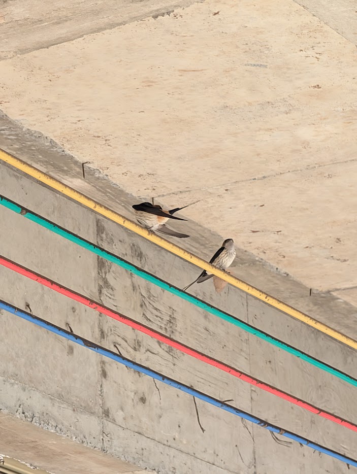 Figure 1: 还似旧时